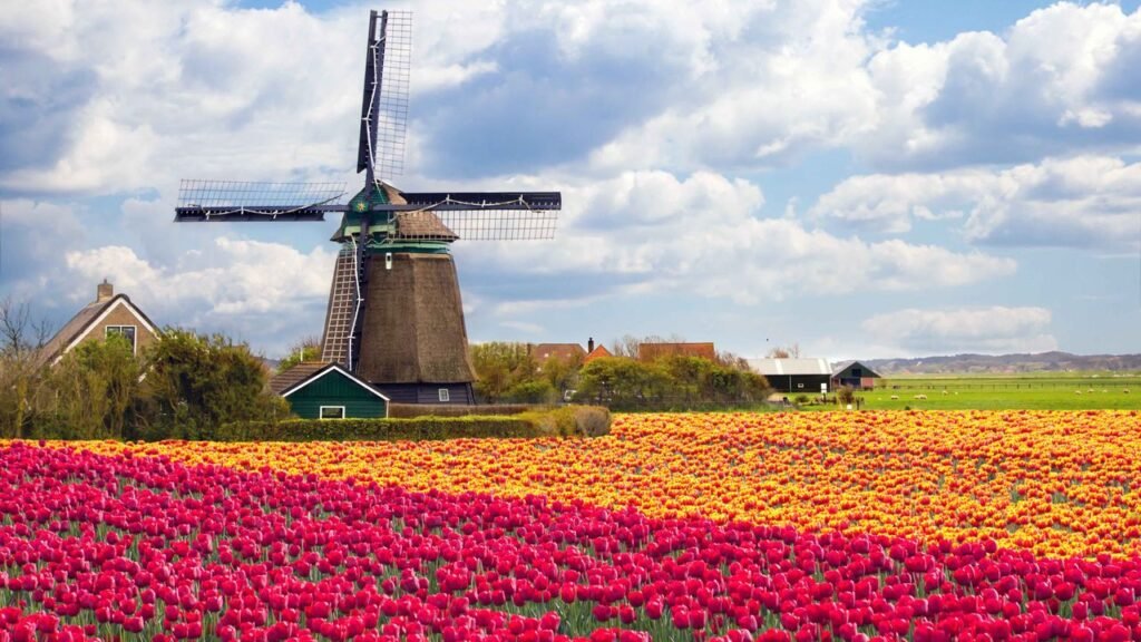 best places to visit in the world – Witness the Tulip Bloom, Amsterdam, Netherlands