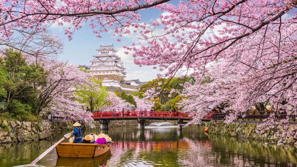 Kyoto, Japan Cherry Blossom Festival