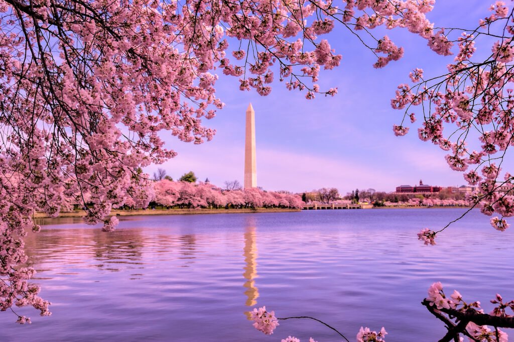 best places to visit in the world - Washington D.C, USA