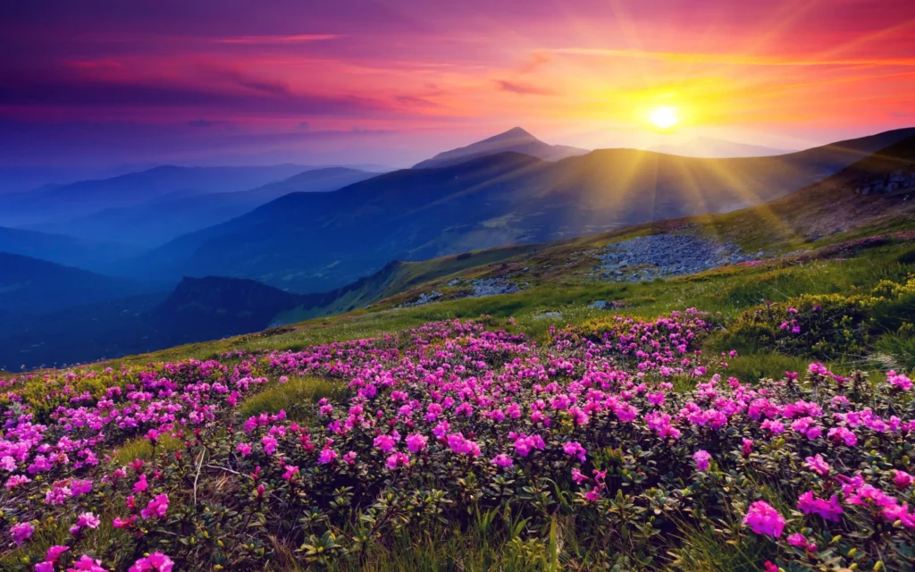 Ooty, Tamil Nadu is one the best places to visit in India