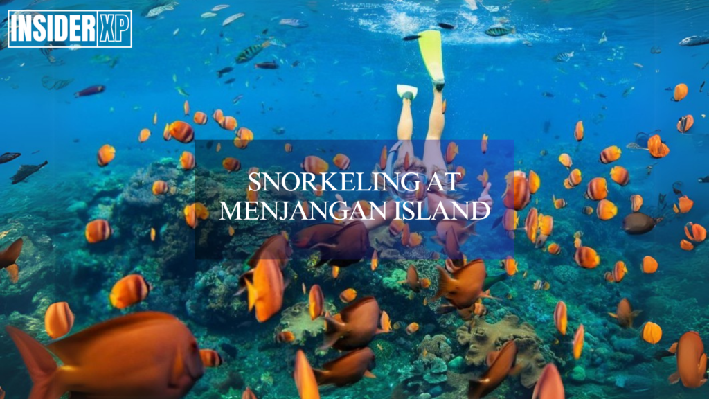 Snorkeling at Menjangan Island