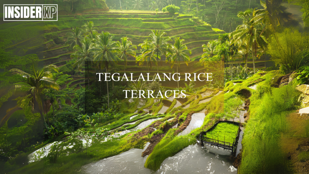 Tegalalang Rice Terraces