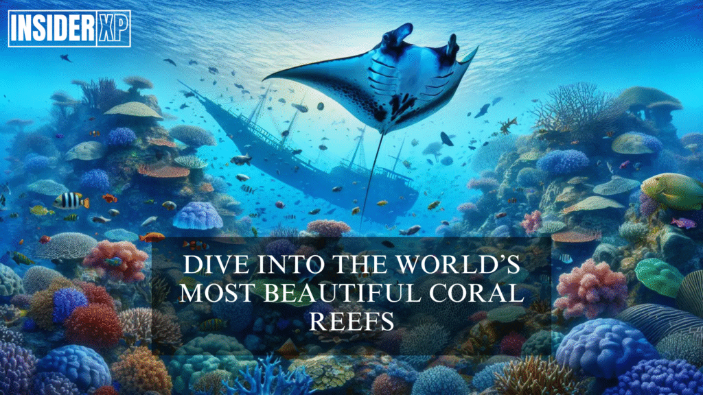 Scuba Dive the World's Most Beautiful Coral Reefs