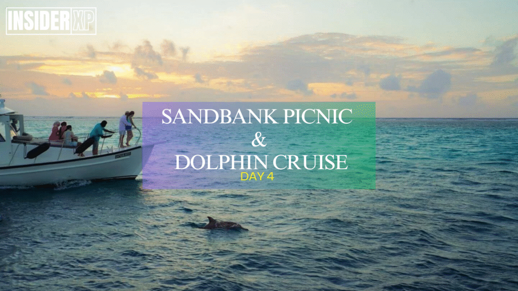 Sandbank Picnic & Dolphin Cruise
