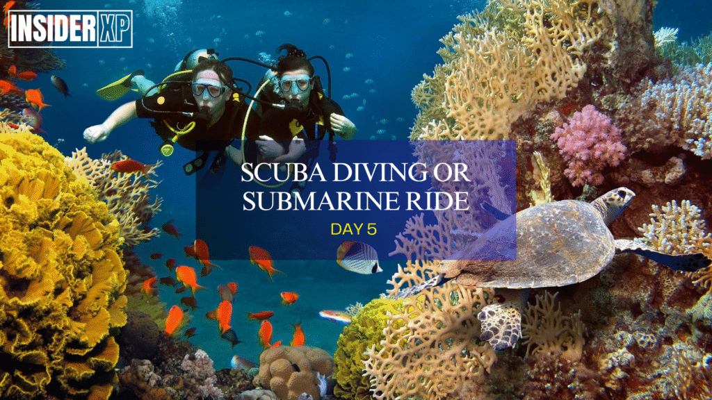 Scuba Diving or Submarine Ride