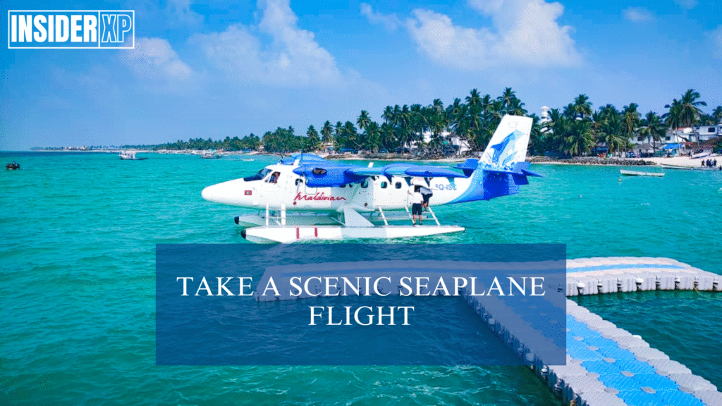 Fly on a Scenic Seaplane