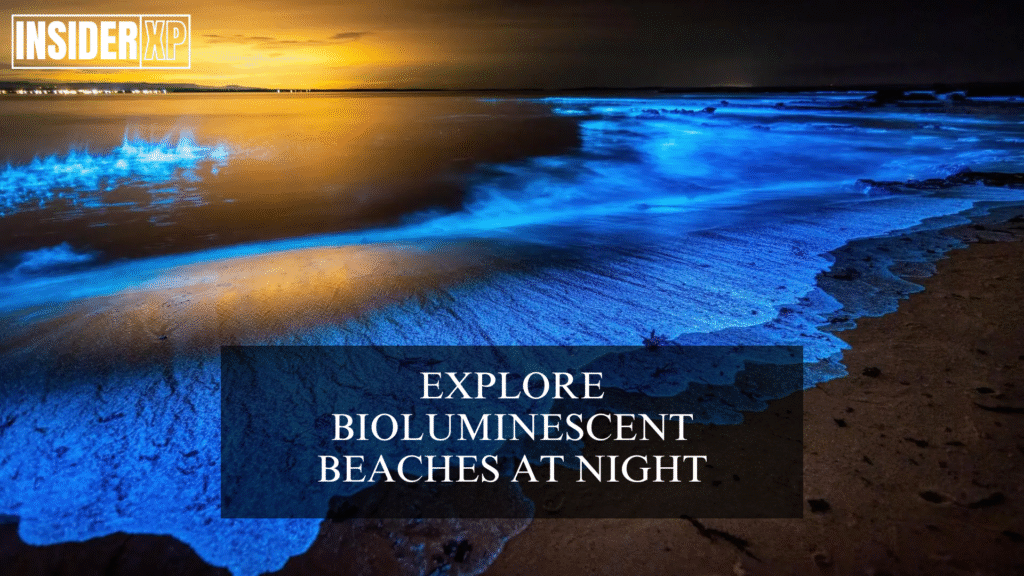 Walk on Bioluminescent Beaches at Night