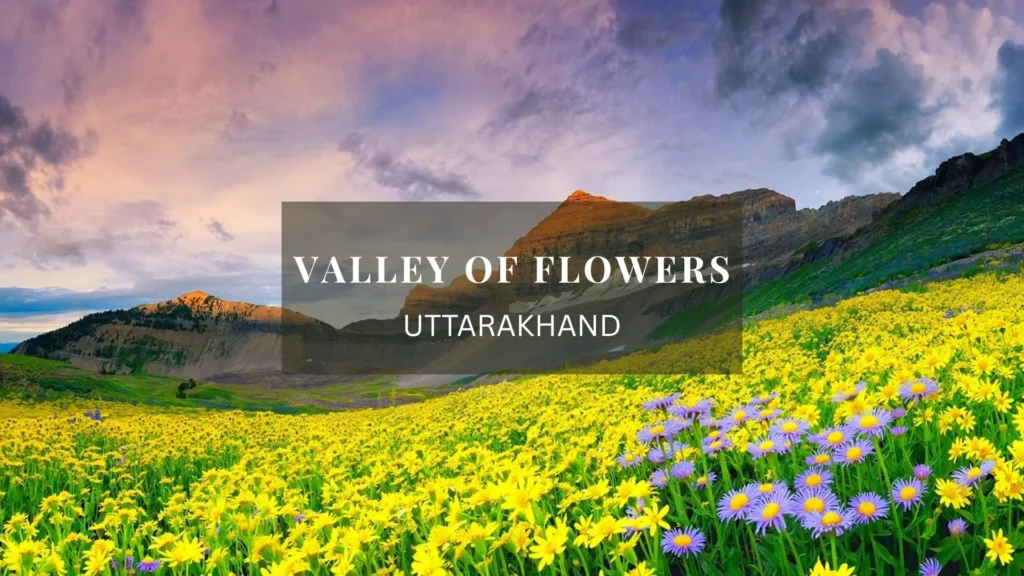 Valley of Flowers, Uttarakhand