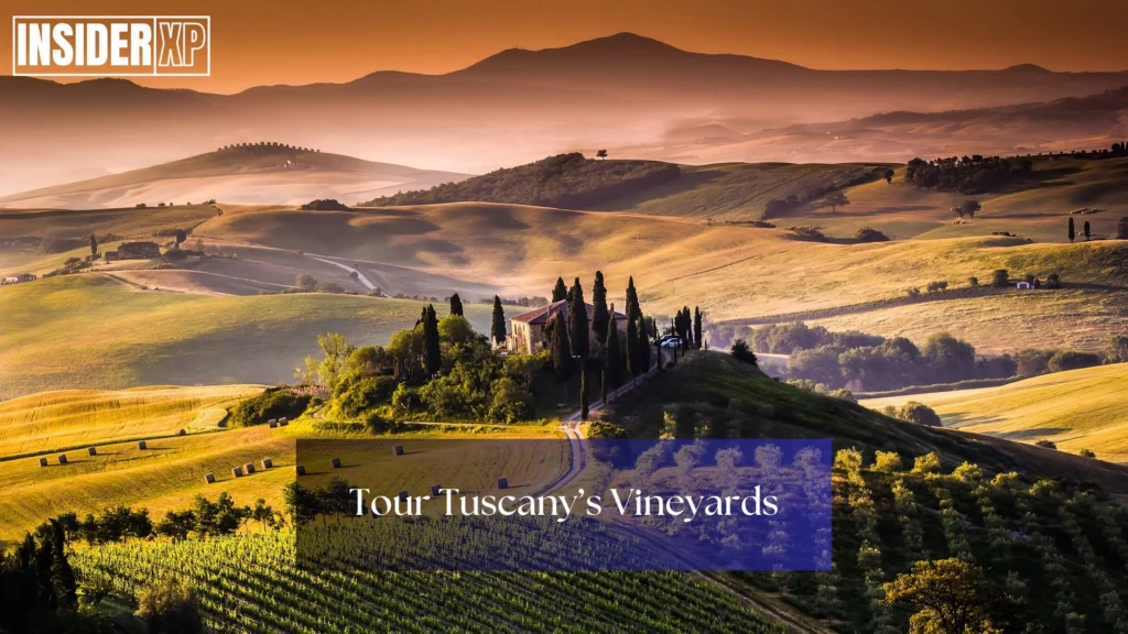 Tuscany’s Vineyards