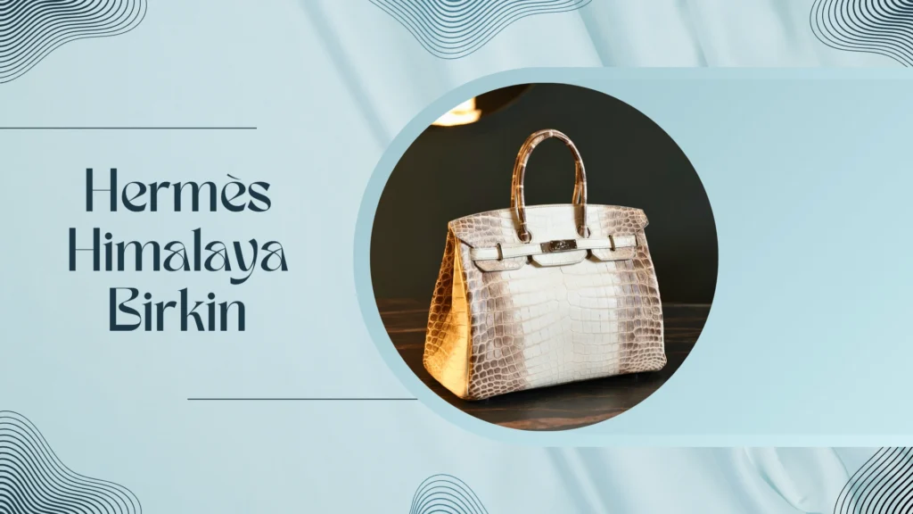 Hermès Himalaya Birkin