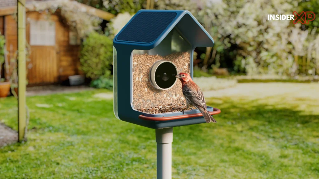 Bird Buddy 2 Mini: Artificial Intelligence Enhancing Backyard Fun!